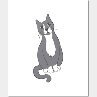 Grey Tuxedo Cat Sitting Pretty Posters and Art